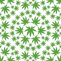 White - Small Cannabis Leaves